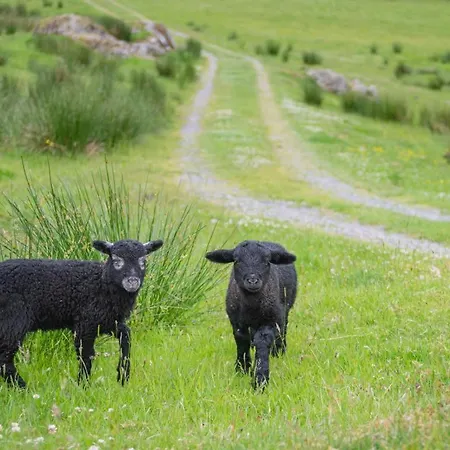 3 Bed In Duddon Valley Sz107 * Eskdale